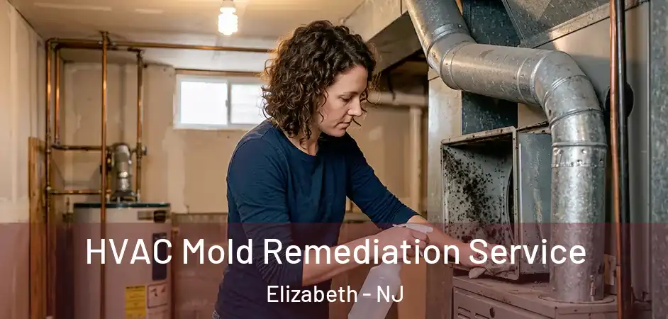HVAC Mold Remediation Service Elizabeth - NJ