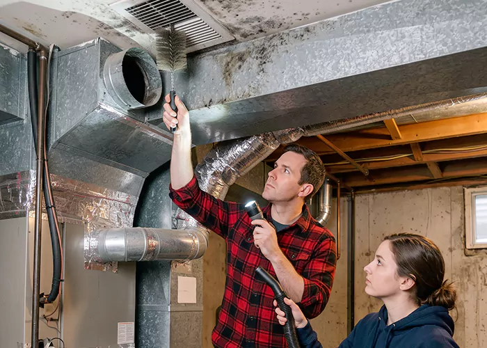 Premier HVAC Mold Remediation Company in Elizabeth